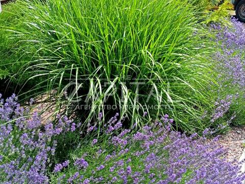 дом по адресу Ярова