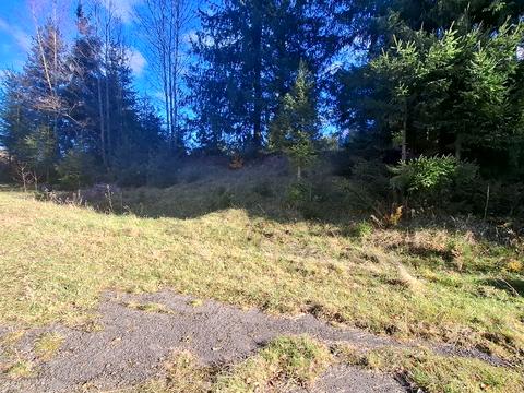 участок по адресу Зарічна