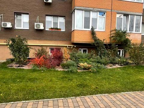 квартира за адресою Європейська вул., 1