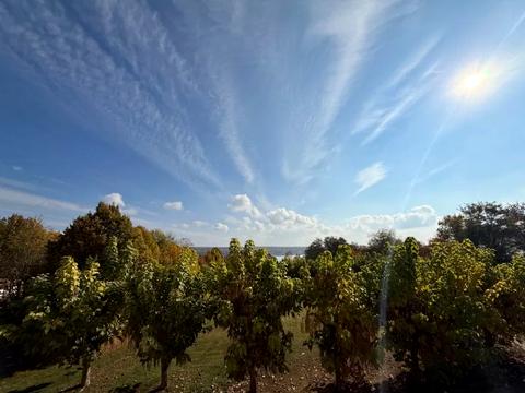 будинок за адресою с. Микільське-На-Дніпрі, Набережна