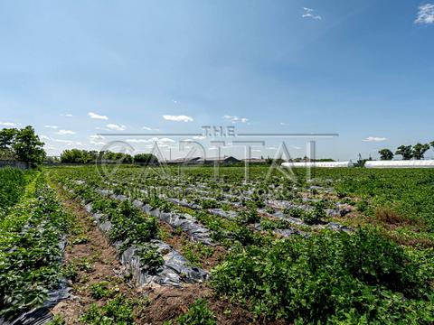 комерційна за адресою Жовтнева, 1