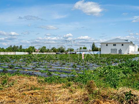 комерційна за адресою Жовтнева, 1