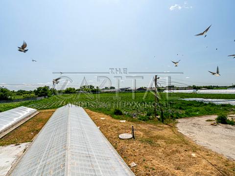 комерційна за адресою Жовтнева, 1