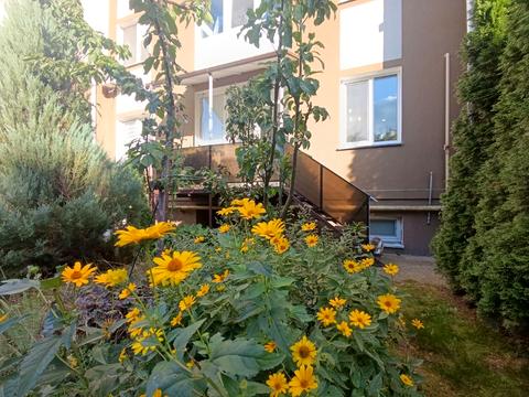 квартира за адресою Чубинського, 1