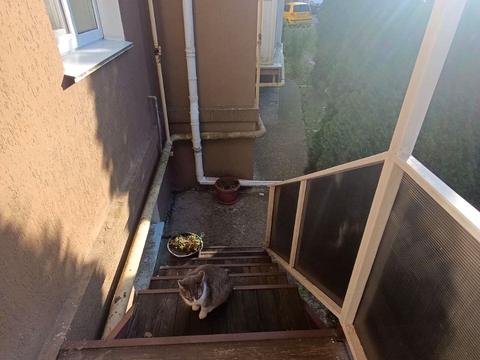 квартира за адресою Чубинського, 1