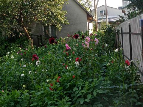 квартира по адресу Зелена, 5