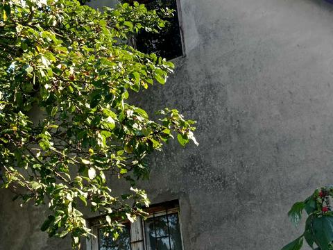 квартира по адресу Зелена, 5