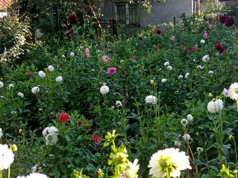 квартира по адресу Зелена, 5