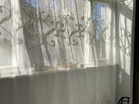 квартира за адресою Олега Григор'єва вул., 10