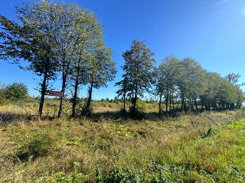 ділянка за адресою 