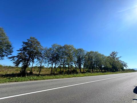 ділянка за адресою 