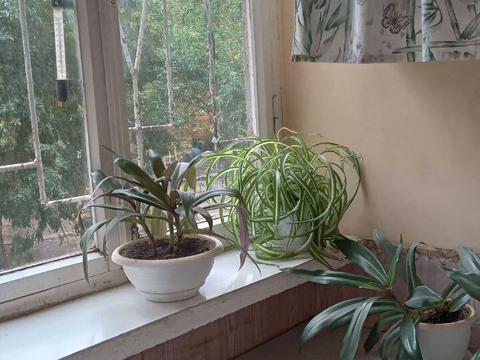 квартира за адресою Академіка Корольова вул., 112/3