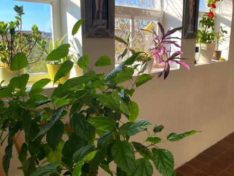 будинок за адресою СК Хвиля, 3