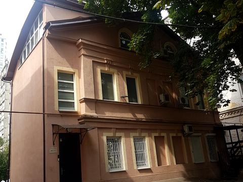 дом по адресу Панаса Мирного ул., 9-В