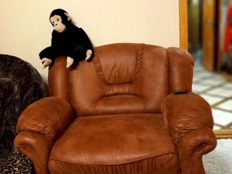 квартира по адресу Новаторов ул., 15