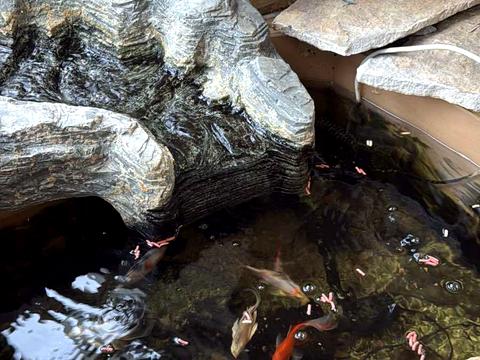 квартира по адресу Раисы Окипной ул., 4-А