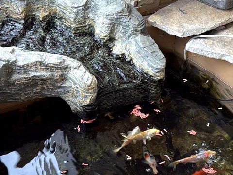 квартира по адресу Раисы Окипной ул., 4-А