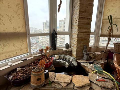 квартира по адресу Раисы Окипной ул., 4-А