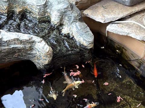 квартира по адресу Раисы Окипной ул., 4-А