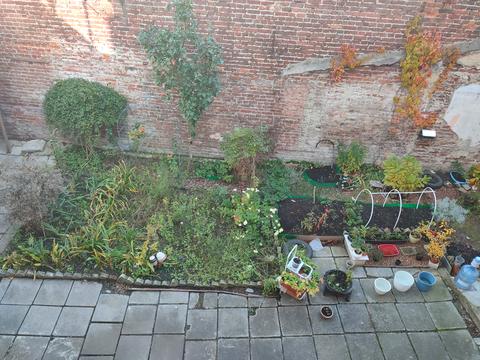 квартира за адресою Шумлянських вул. (Івана Сєченова), 3