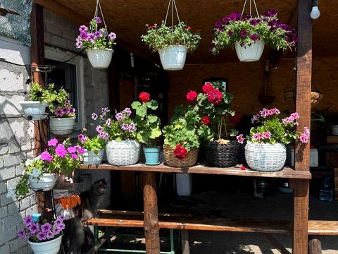 будинок за адресою Мира