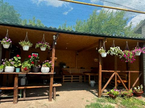 будинок за адресою Мира