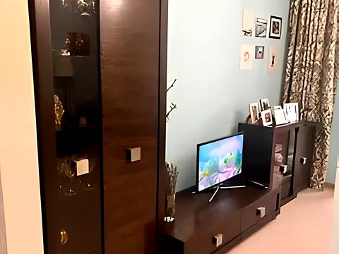 квартира за адресою Вовчинецька вул., 219а