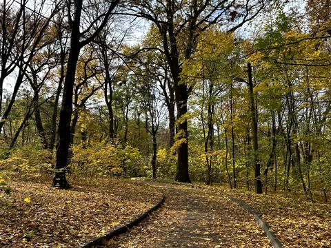 квартира по адресу Авиаконструктора Игоря Сикорского ул. (Танковая), 4-Д