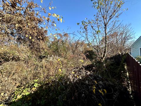 ділянка за адресою Богдана Хмельницкого вул., 27в