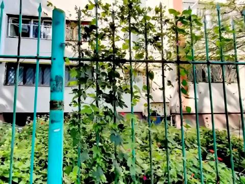 коммерческая по адресу Хвойный пер., 8