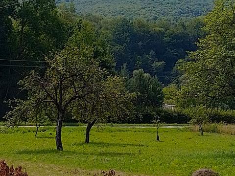 будинок за адресою Грушевського, 2