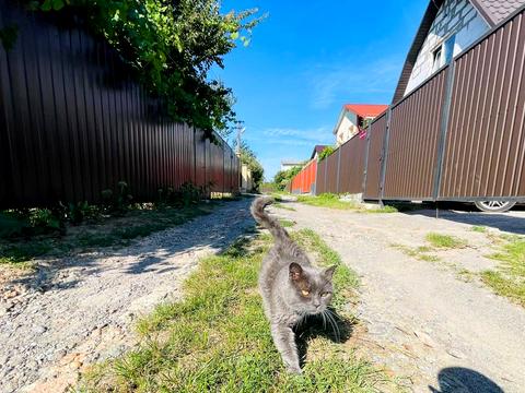 ділянка за адресою провулок Калиновий