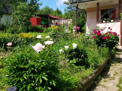 будинок за адресою Черешнева