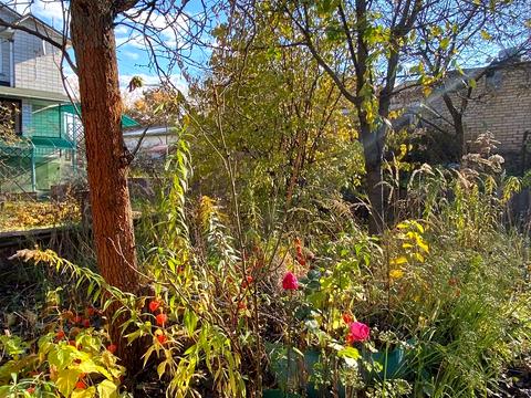 будинок за адресою Черешнева