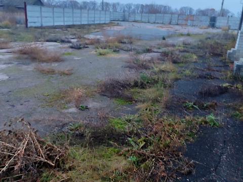 участок по адресу с. Равнополье, Перемоги, 30/1