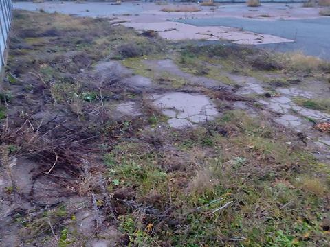 участок по адресу с. Равнополье, Перемоги, 30/1