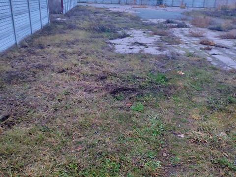 участок по адресу с. Равнополье, Перемоги, 30/1