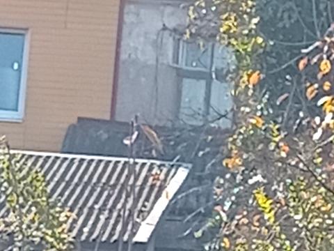 квартира за адресою Тараса Шевченка вул., 19