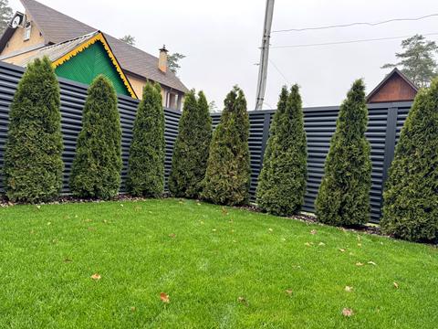 дом по адресу Институтская ул. (Артема), 12-Г