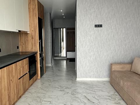 квартира за адресою Праведниці Шулежко вул. (Пушкіна), 33/1