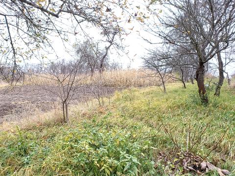 будинок за адресою Лісова, 22