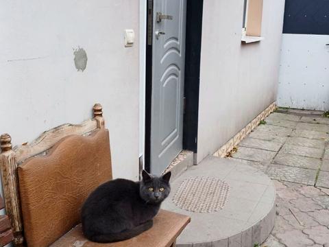 будинок за адресою Вільна вул.