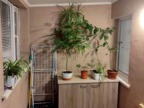 квартира за адресою Отамана Головатого вул., 11