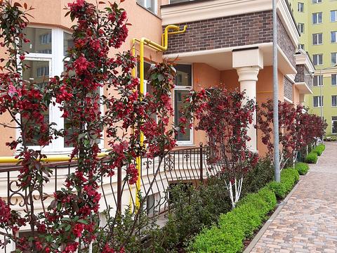 квартира по адресу Клубна ул., 10