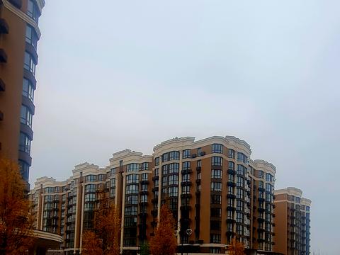 квартира по адресу Мартинова просп., 38