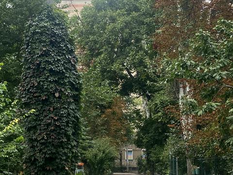 квартира по адресу Армейская ул., 14/1