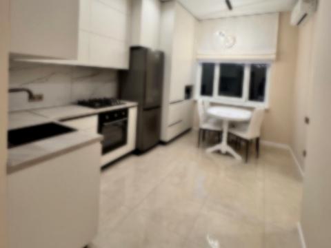 квартира по адресу Дача Ковалевского ул., 91