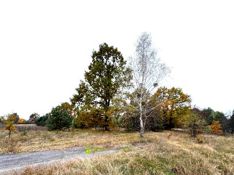 участок по адресу 