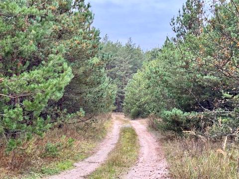 участок по адресу 