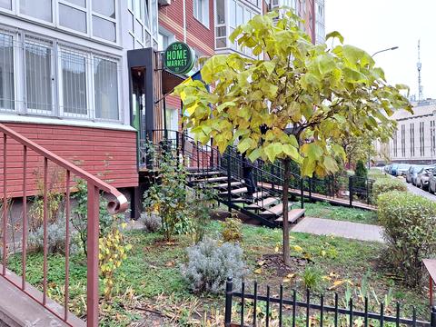 квартира по адресу Бориса Гмыри ул., 12-Б